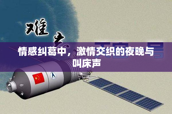 情感纠葛中，激情交织的夜晚与叫床声