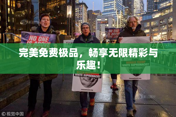 完美免费极品，畅享无限精彩与乐趣！