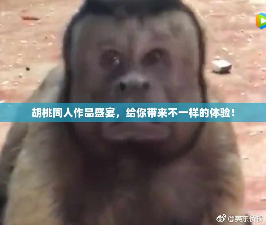 胡桃同人作品盛宴，给你带来不一样的体验！