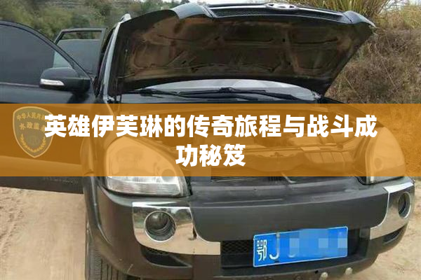 英雄伊芙琳的传奇旅程与战斗成功秘笈