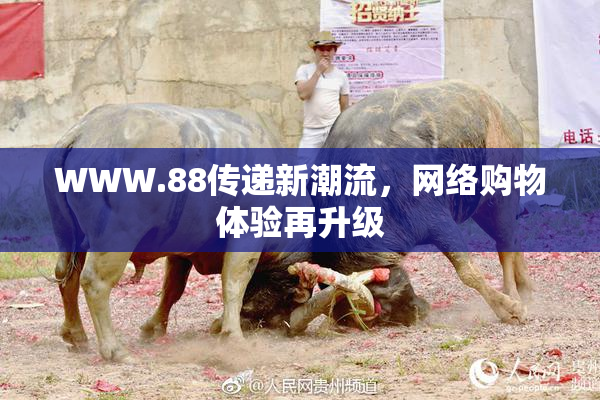WWW.88传递新潮流，网络购物体验再升级