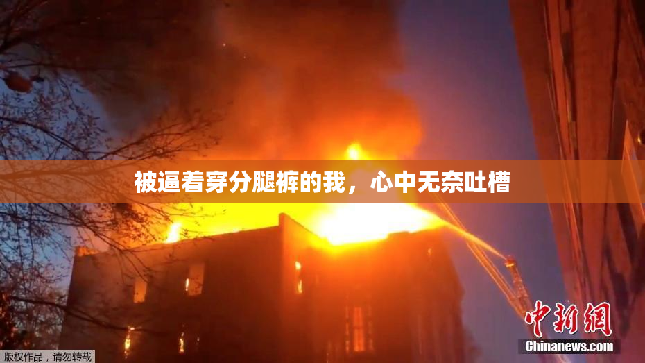 被逼着穿分腿裤的我，心中无奈吐槽