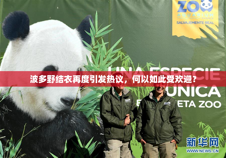 波多野结衣再度引发热议，何以如此受欢迎？