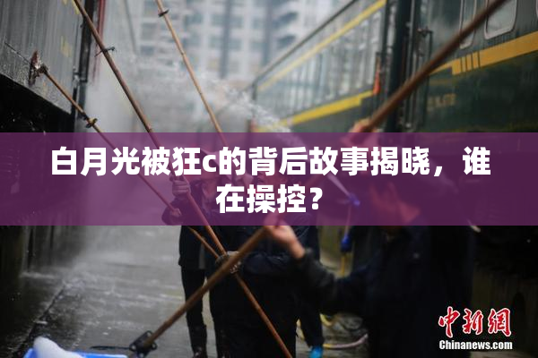 白月光被狂c的背后故事揭晓，谁在操控？