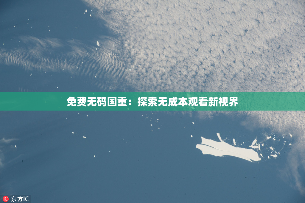 免费无码国重：探索无成本观看新视界