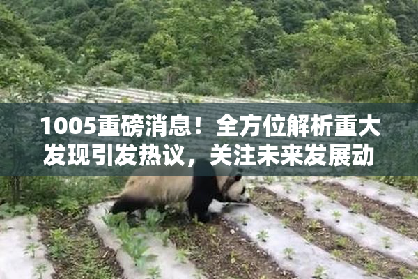 1005重磅消息！全方位解析重大发现引发热议，关注未来发展动态。