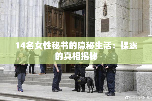 14名女性秘书的隐秘生活：裸露的真相揭秘