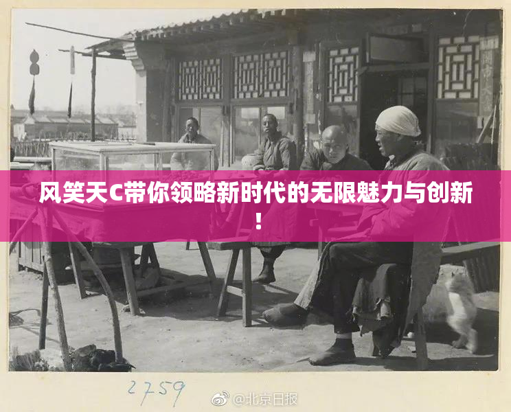 风笑天C带你领略新时代的无限魅力与创新！