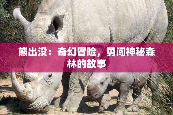 熊出没：奇幻冒险，勇闯神秘森林的故事
