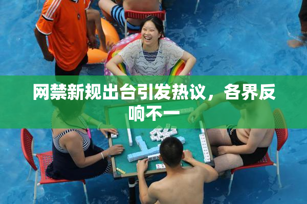 网禁新规出台引发热议，各界反响不一