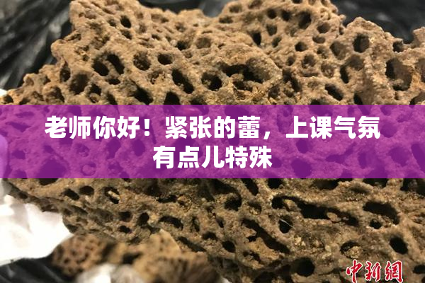 老师你好！紧张的蕾，上课气氛有点儿特殊