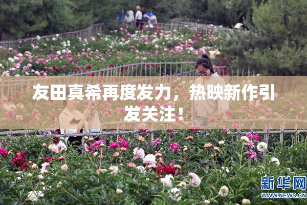 友田真希再度发力，热映新作引发关注！