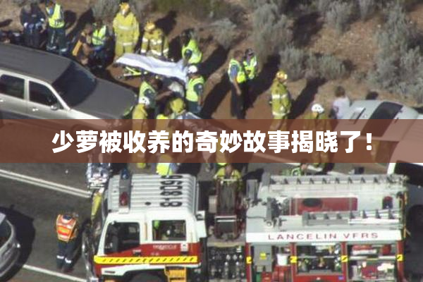 少萝被收养的奇妙故事揭晓了！