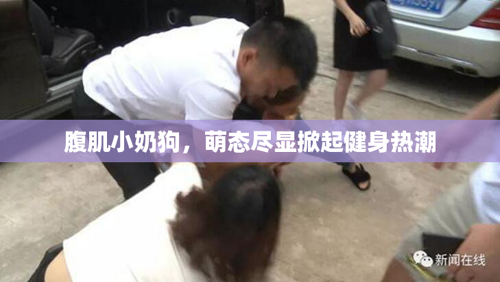 腹肌小奶狗，萌态尽显掀起健身热潮