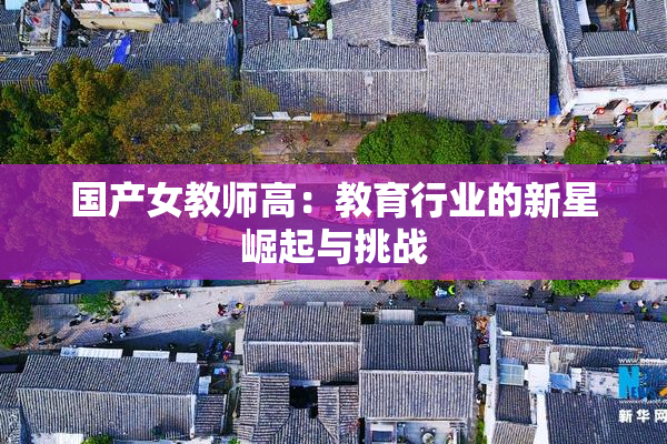 国产女教师高：教育行业的新星崛起与挑战