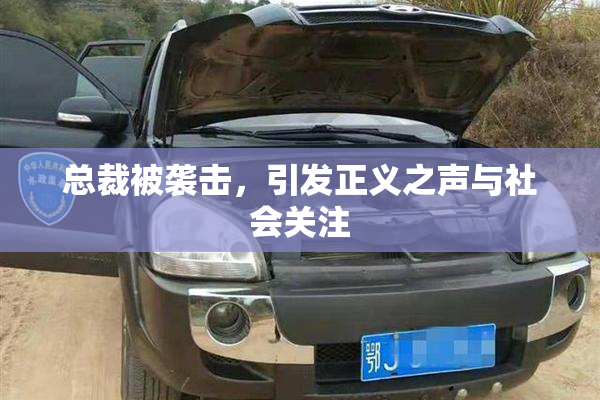 总裁被袭击，引发正义之声与社会关注