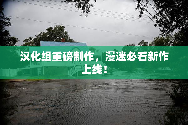 汉化组重磅制作，漫迷必看新作上线！