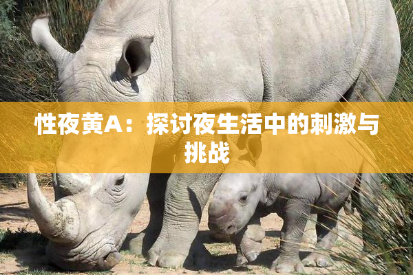 性夜黄A：探讨夜生活中的刺激与挑战
