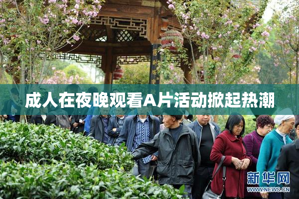 成人在夜晚观看A片活动掀起热潮