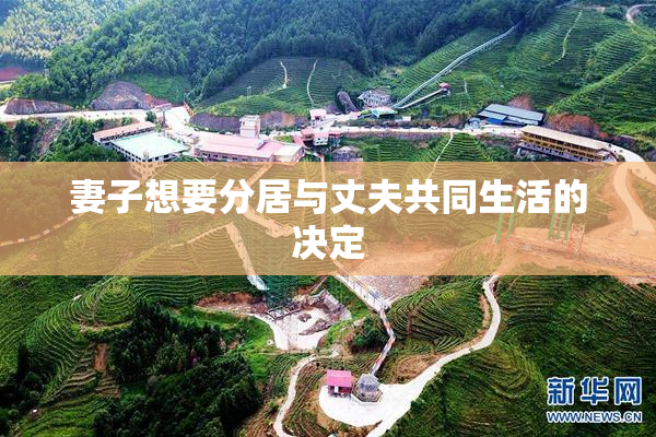 妻子想要分居与丈夫共同生活的决定