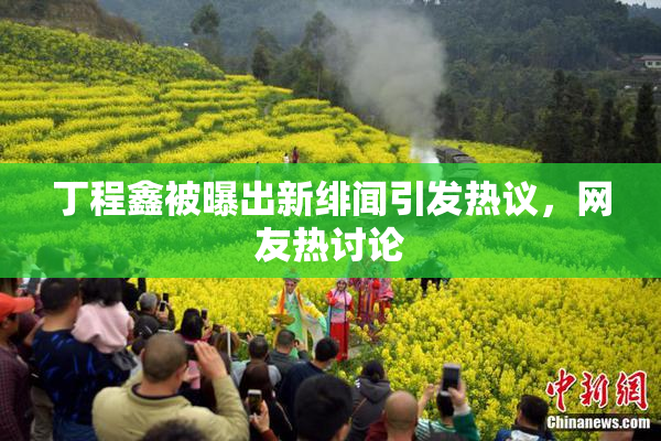 丁程鑫被曝出新绯闻引发热议，网友热讨论