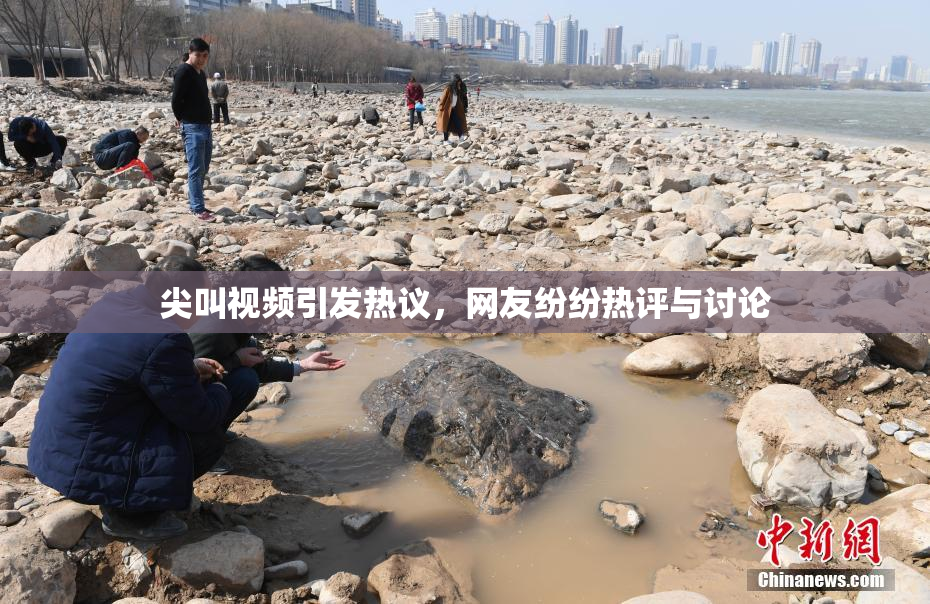 尖叫视频引发热议，网友纷纷热评与讨论