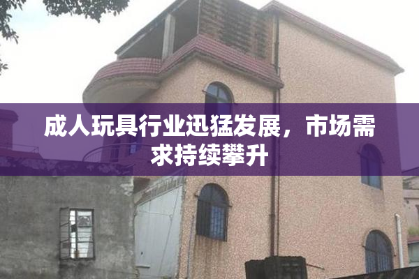 成人玩具行业迅猛发展，市场需求持续攀升