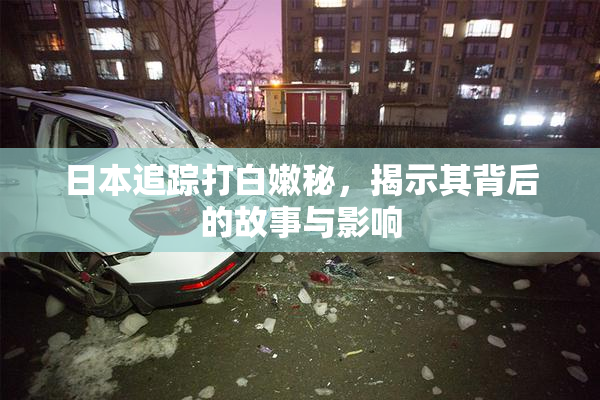 日本追踪打白嫩秘，揭示其背后的故事与影响
