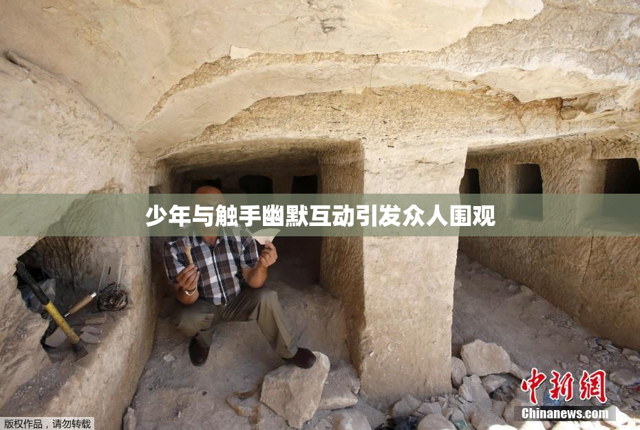 少年与触手幽默互动引发众人围观