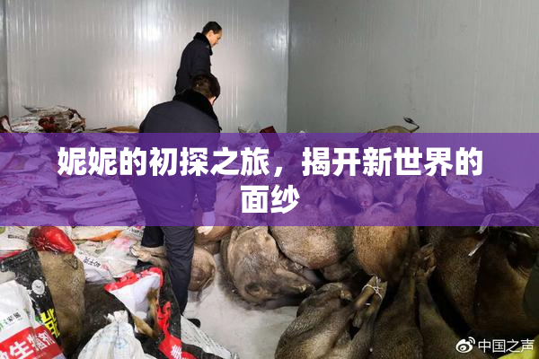 妮妮的初探之旅，揭开新世界的面纱