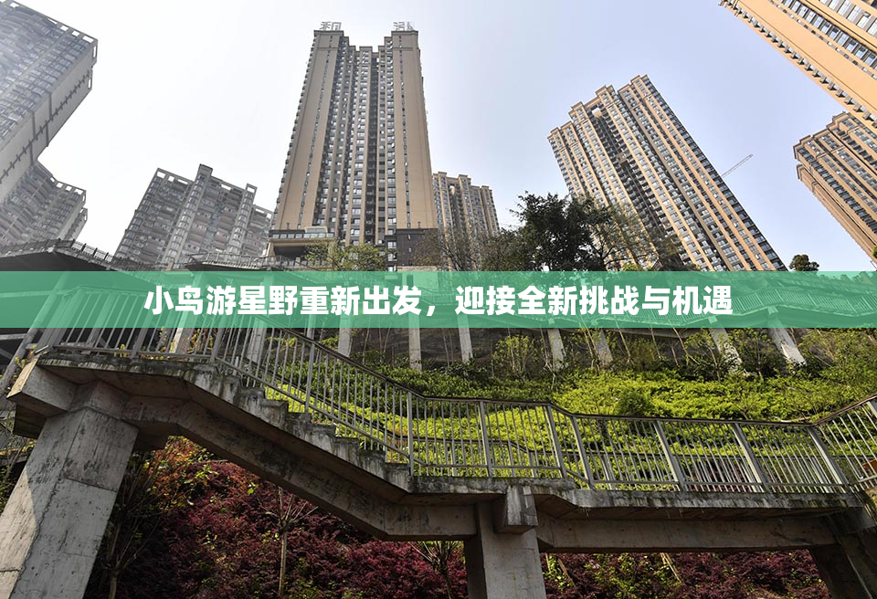 小鸟游星野重新出发，迎接全新挑战与机遇