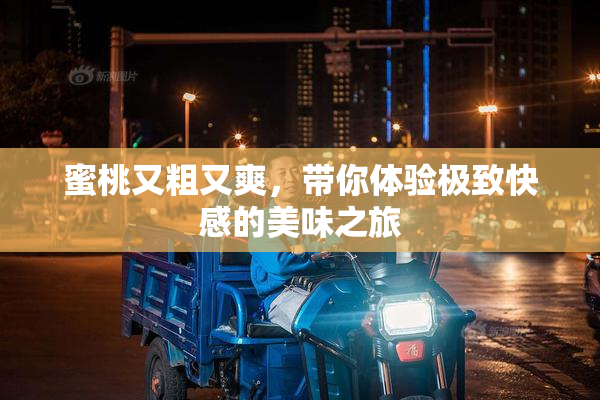 蜜桃又粗又爽，带你体验极致快感的美味之旅