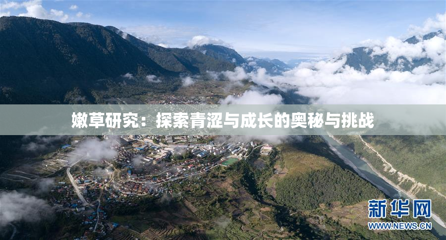 嫩草研究：探索青涩与成长的奥秘与挑战