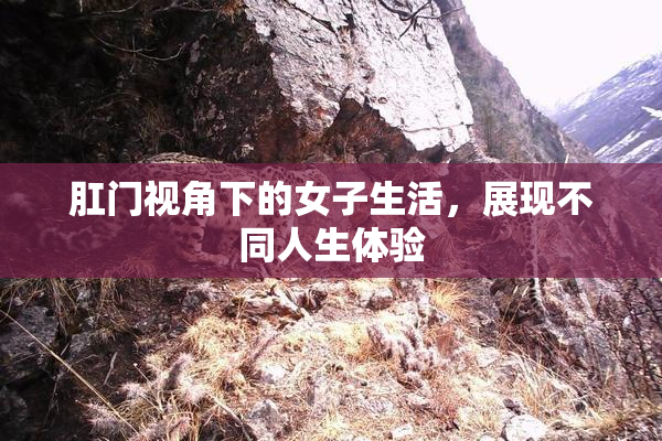 肛门视角下的女子生活，展现不同人生体验