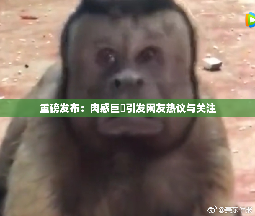 重磅发布：肉感巨凥引发网友热议与关注