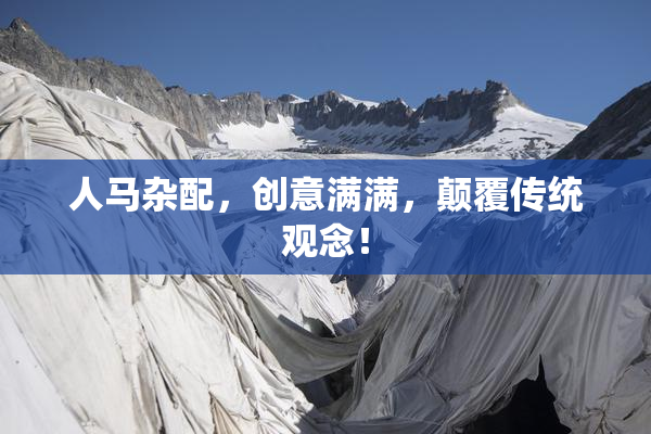 人马杂配，创意满满，颠覆传统观念！