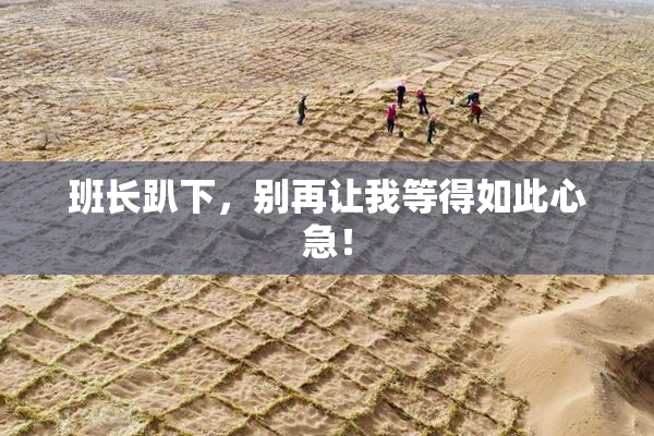班长趴下，别再让我等得如此心急！