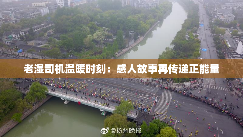 老湿司机温暖时刻：感人故事再传递正能量