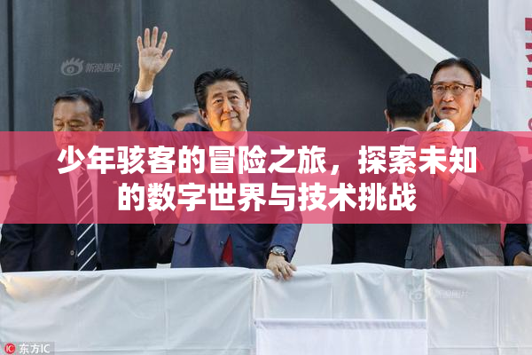 少年骇客的冒险之旅，探索未知的数字世界与技术挑战