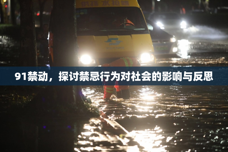 91禁动，探讨禁忌行为对社会的影响与反思
