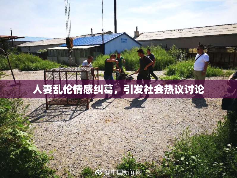 人妻乱伦情感纠葛，引发社会热议讨论