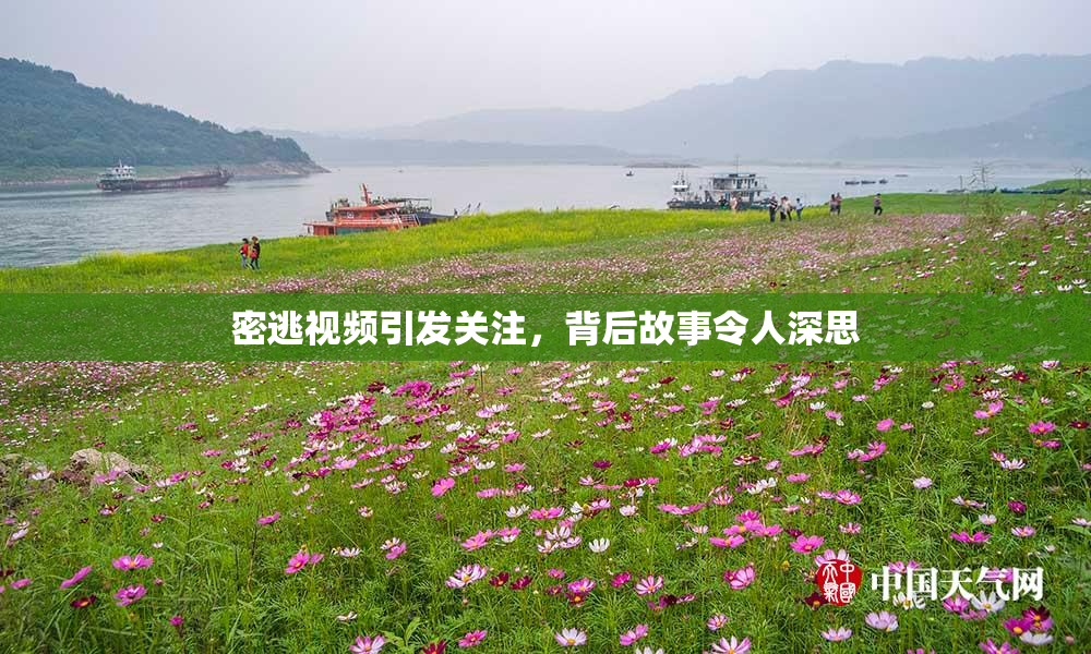 密逃视频引发关注，背后故事令人深思