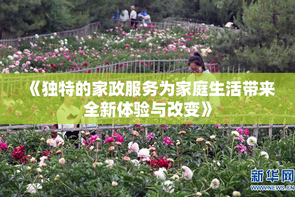 《独特的家政服务为家庭生活带来全新体验与改变》