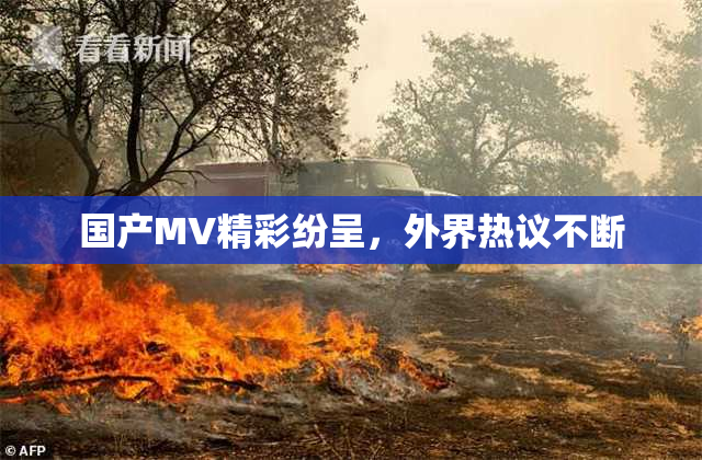 国产MV精彩纷呈，外界热议不断