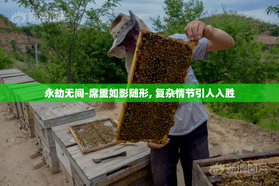 永劫无间-席重如影随形, 复杂情节引人入胜