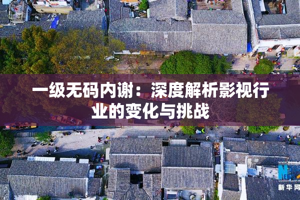一级无码内谢：深度解析影视行业的变化与挑战