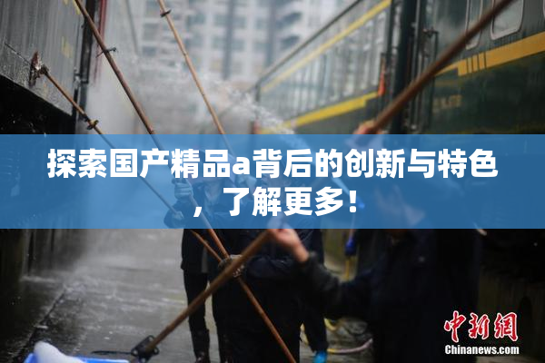 探索国产精品a背后的创新与特色，了解更多！