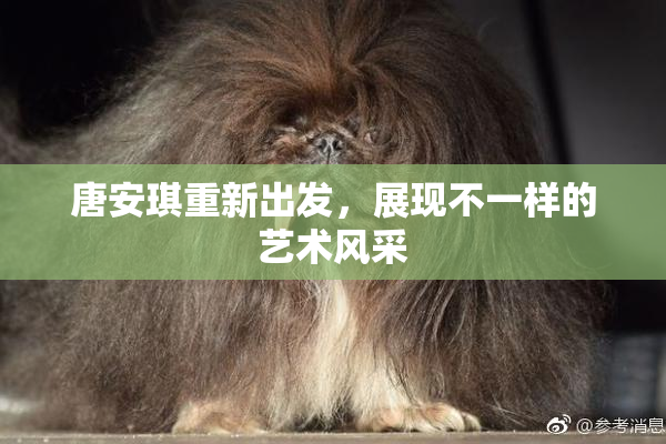 唐安琪重新出发，展现不一样的艺术风采