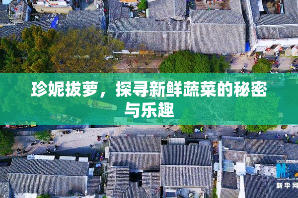 珍妮拔萝，探寻新鲜蔬菜的秘密与乐趣