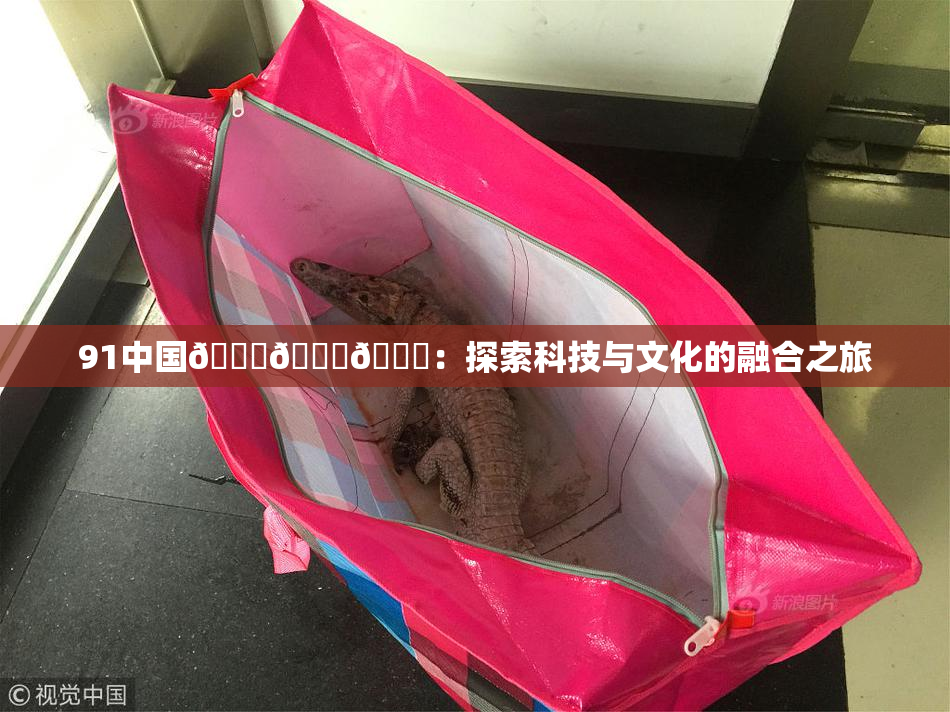 91中国🍆🍑🔞：探索科技与文化的融合之旅